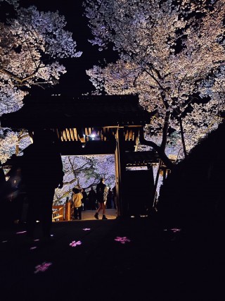 4D18E9EA-4E7B-423A-BE14-204F8A61CD05