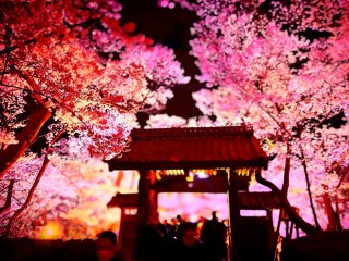 7D0BF5B2-5445-40D0-9F2B-A7429323B2F0